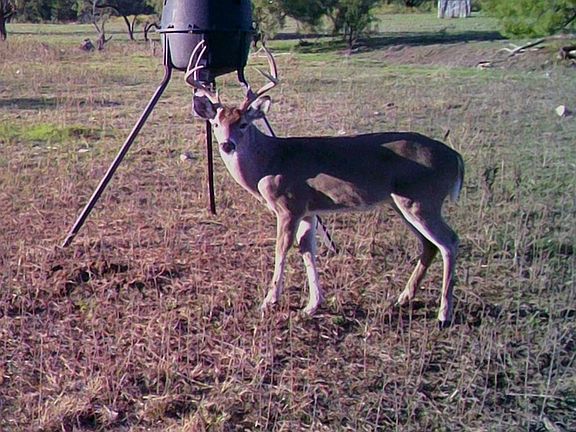 3rd image of 88291 Suaa Rd #286