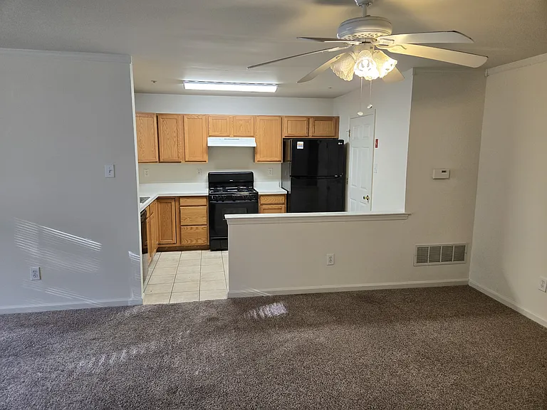 1302 Black Walnut Dr — Photo 5
