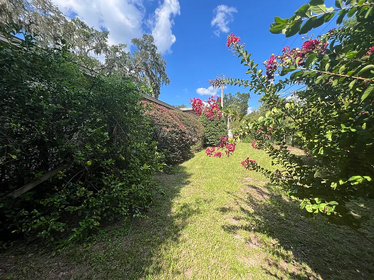 Front Yard