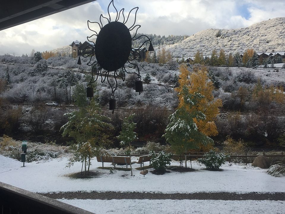 View from patio