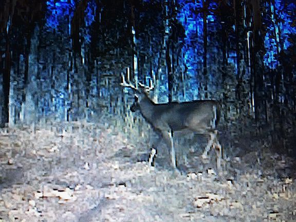 3rd image of 3818 Highway 49 W