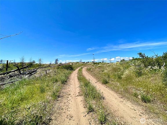 2nd image of 0 TBD Madd Mtn Road