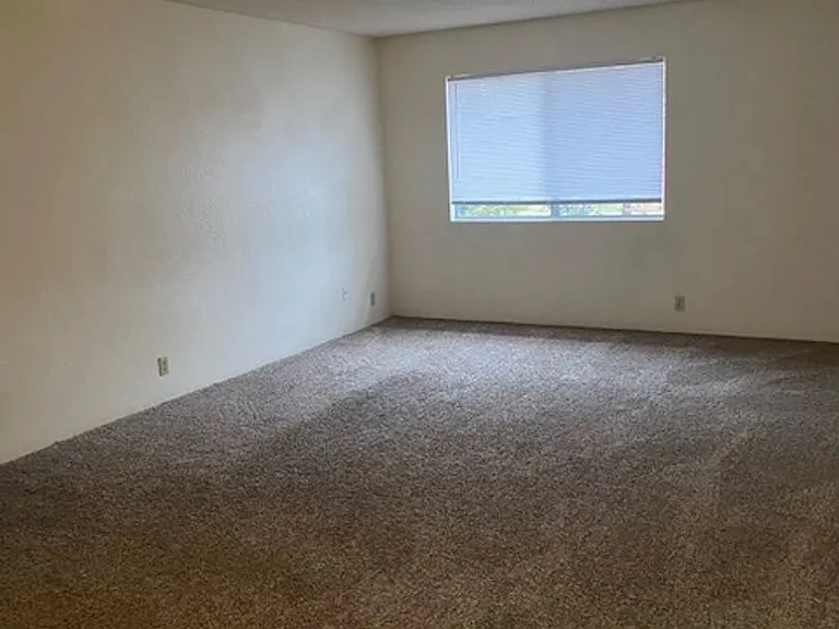 1601 Bramble Pl — Photo 4