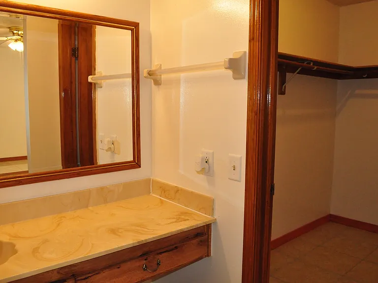 Master Bath/Walk-in closet
