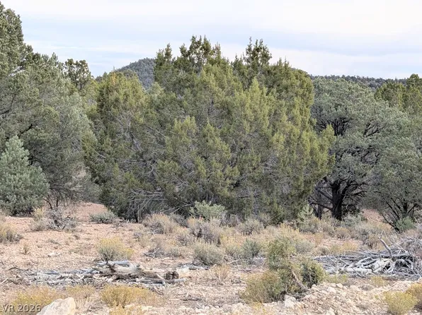 LOT 1 B Side Hill Pass, Pioche, NV 89043
