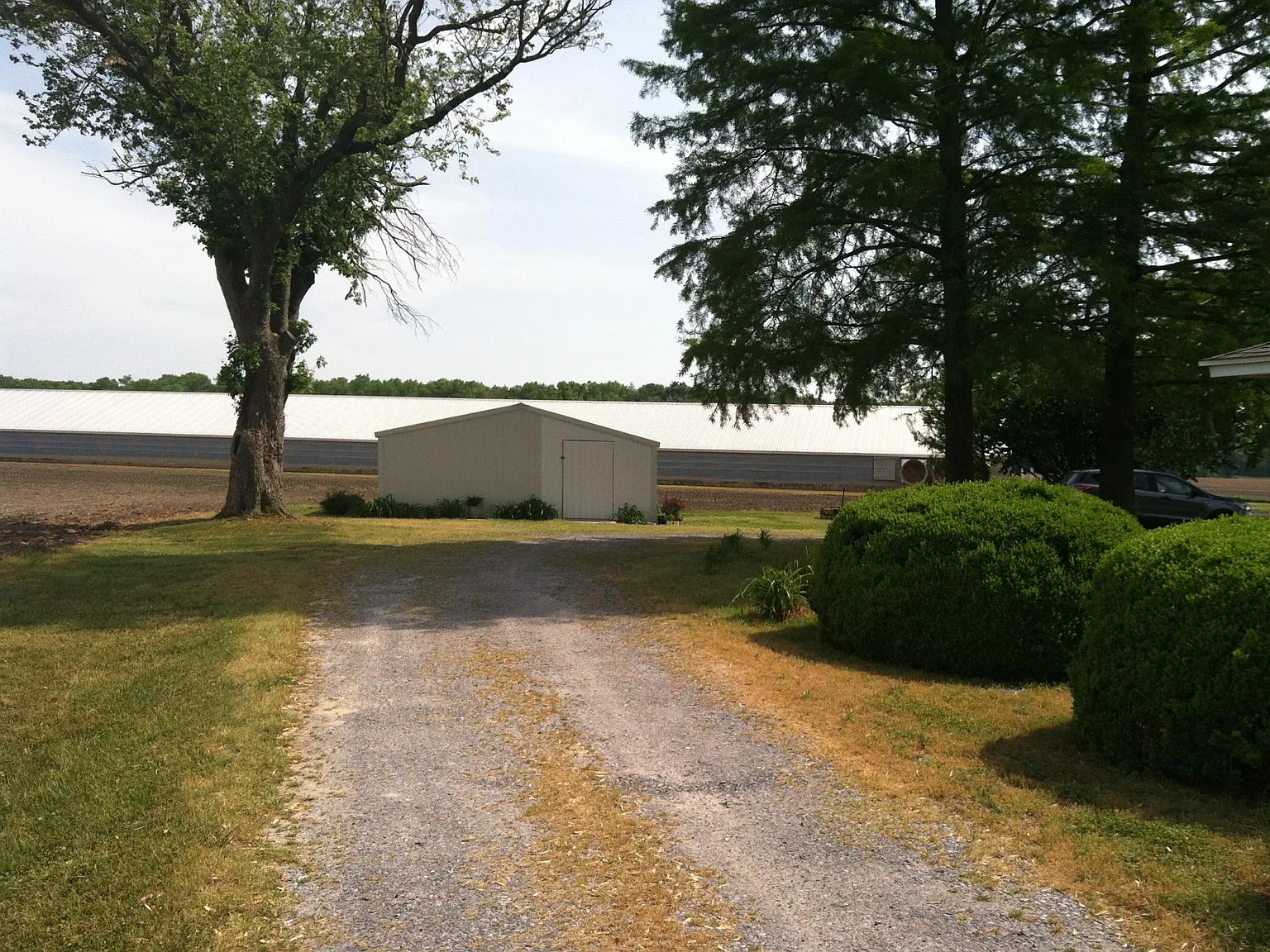 28302 Cypress Rd — Photo 3