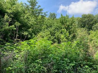 Bruner Grove Rd, Bybee, TN 37713