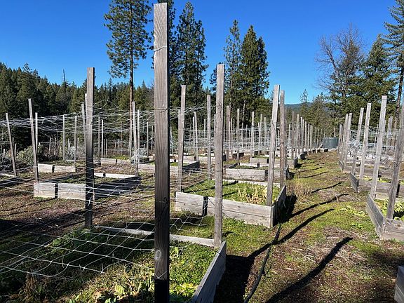 4th image of 740 Trinity Pines Dr