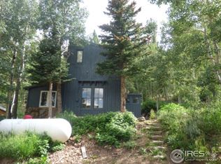 29 B & M St, Ward, CO 80481