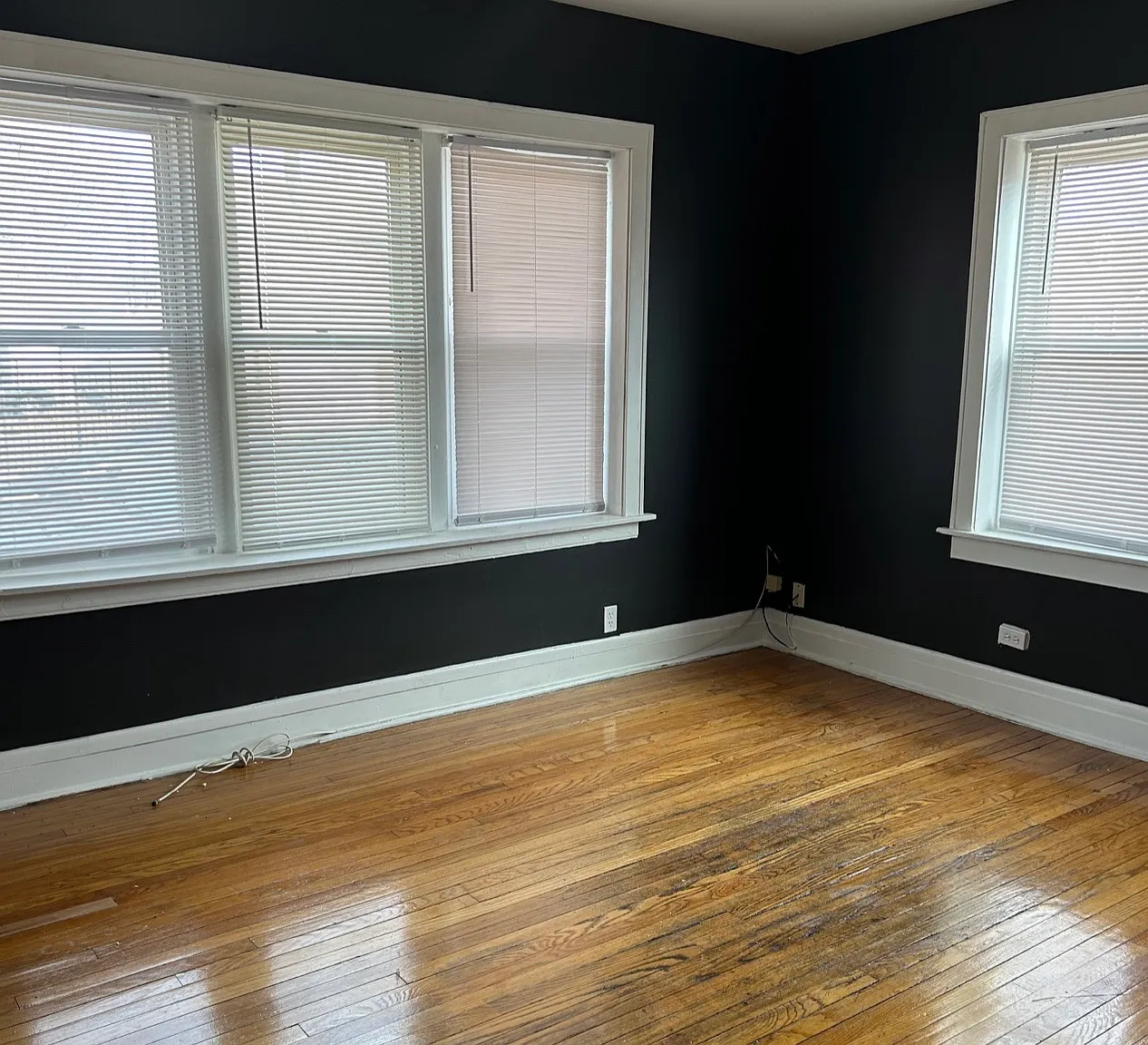 2 bed, 900 sqft, $1,475 — Photo 2