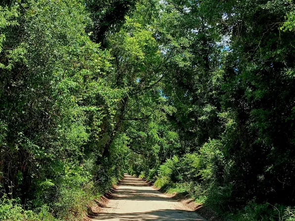 Wolf Pond Rd, Bascom, FL 32423