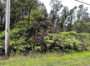 11-3131 Hibiscus St, Mountain View, HI 96771