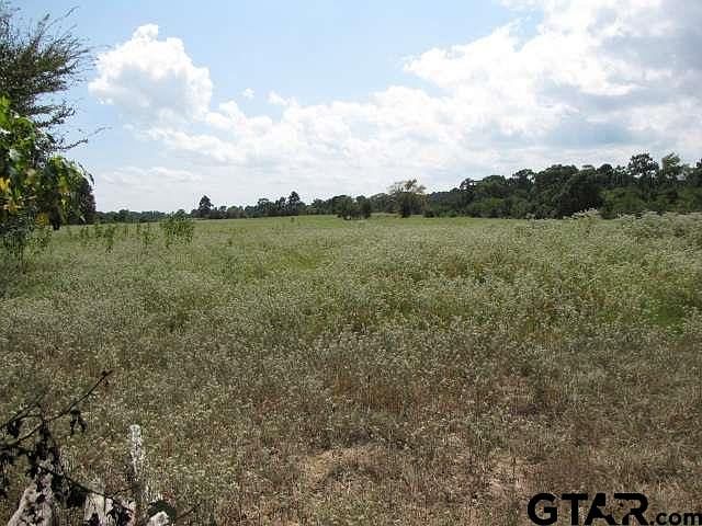 1st image of 000TR-1 Noonday Rd