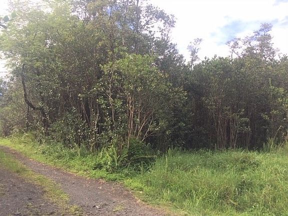 3rd image of 16-1235 Pulelehua Rd #11-6051