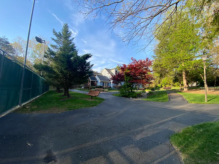4706 Logwood Ln — Photo 23