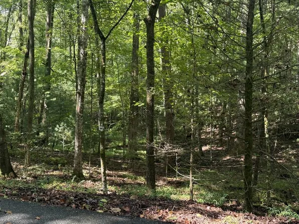 0 River Ridge Rd, Blue Ridge, GA 30513