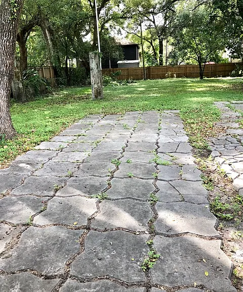 Large backyard