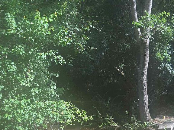 4th image of 1272 Finley Dr