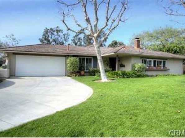 5091 Apple Tree