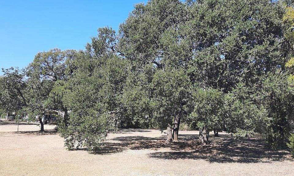 2nd image of TBD N FM 243