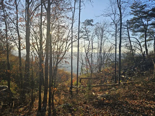 407 Brow Wood Ln, Lookout Mountain, GA 30750