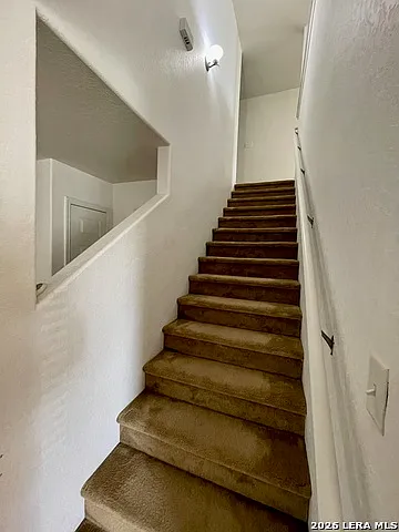 8635 Silver Willow — Photo 9