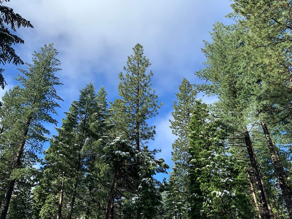 1st image of 0 McCumber Lake Rd