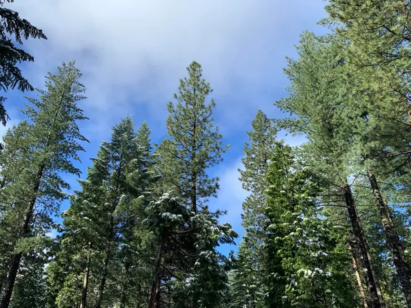 0 McCumber Lake Rd, Shingletown, CA 96088