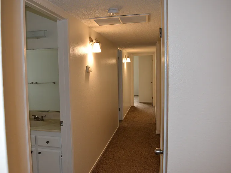 4809 Millbrook Way — Photo 9