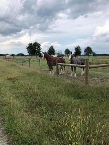3 State Line Rd, Ardmore, TN, 38449