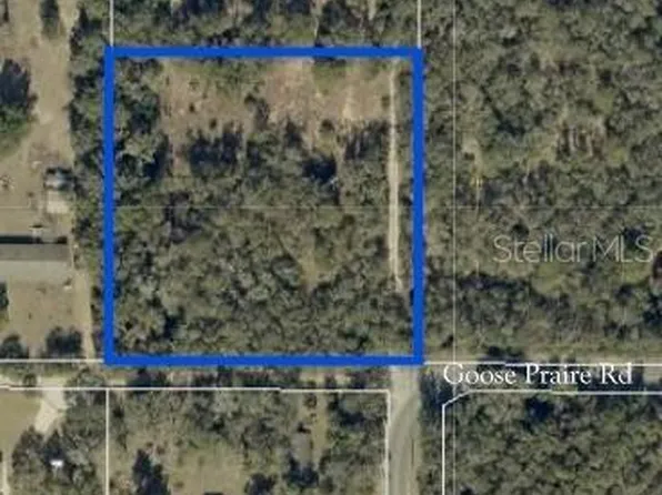 10681 GOOSE PRAIRIE RD ROAD, LEESBURG, FL 34788