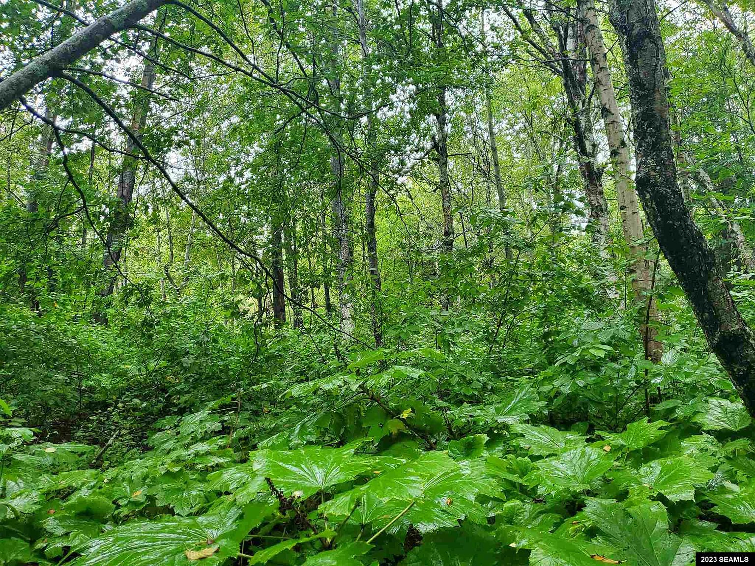 216 Hahn Rd, Skagway, AK 99840 MLS 23665 Zillow