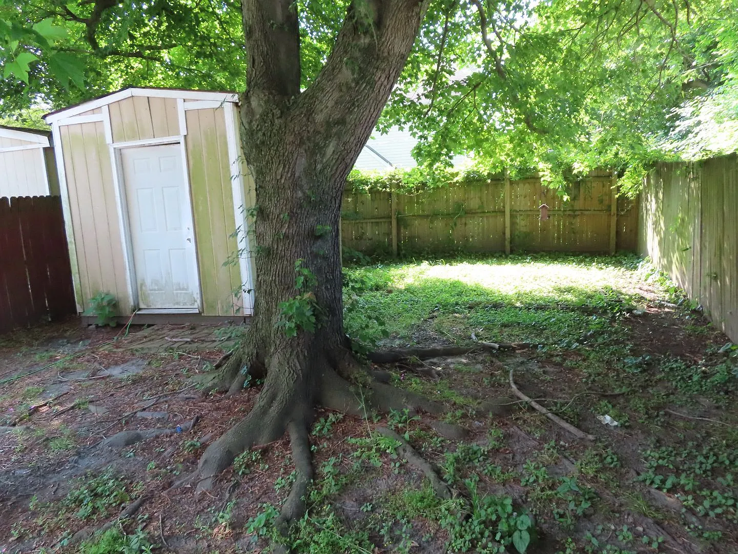 Berkley — Photo 3