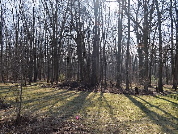 Back corner of woods