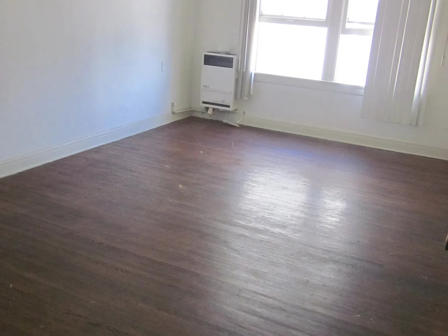 Studio, $1,399 — Photo 1