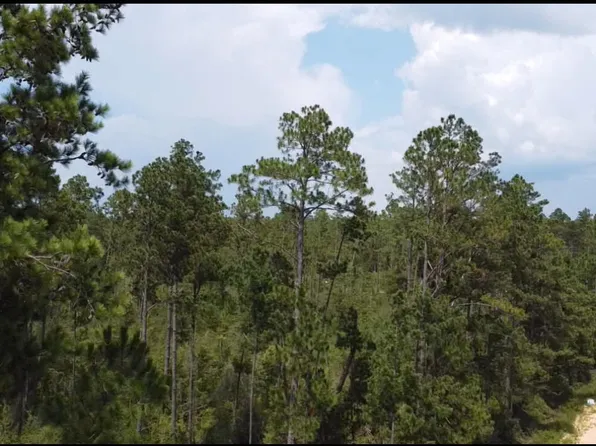 0 Black Hills St, Alford, FL 32420