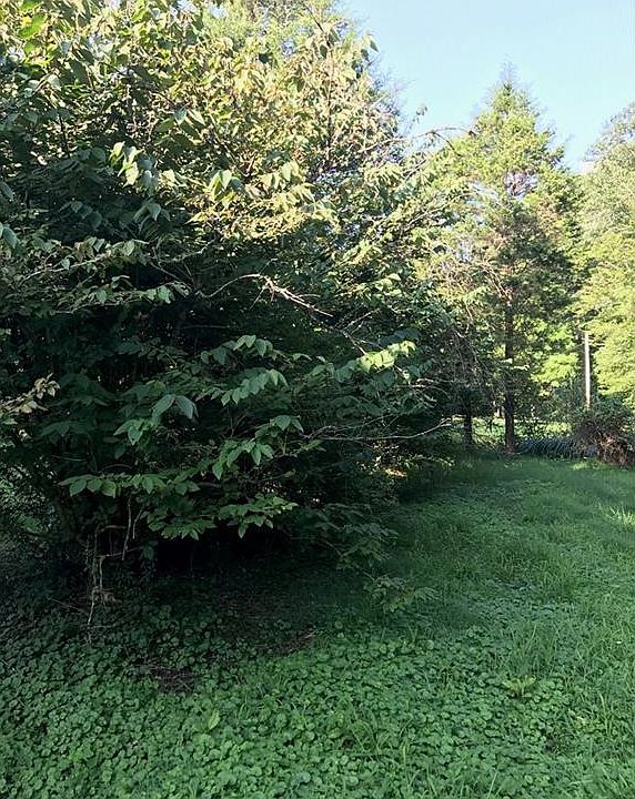2nd image of 372 Long Branch Rd