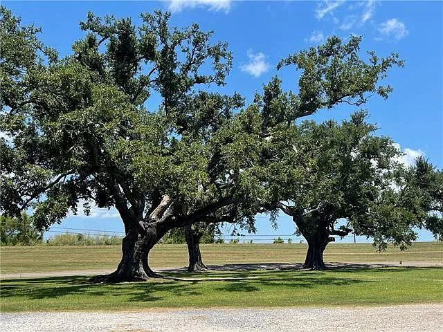 1 bed, 1.0 bath, 750 sqft, $900 — Photo 4
