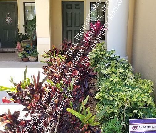 2nd image of 11426 Crowned Sparrow Ln