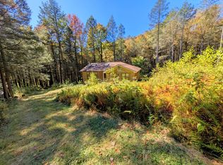 353 Boy Scout Rd, Hamden, NY 13782