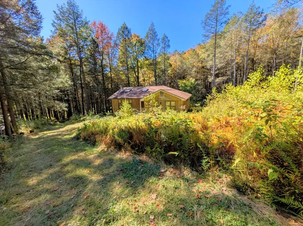 353 Boy Scout Rd, Hamden, NY 13782