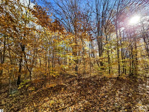 249 Wyndfield Dr, Mancelona, MI 49659