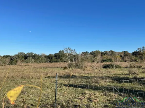 Cemetary Rd, Manvel, TX 77578