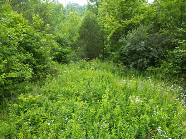 9991 Big Wildcat Rd, Manchester, KY 40962