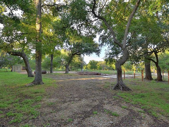 Large Oaks everywhere