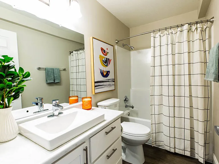 Mountain Run Apartment Homes — Photo 5