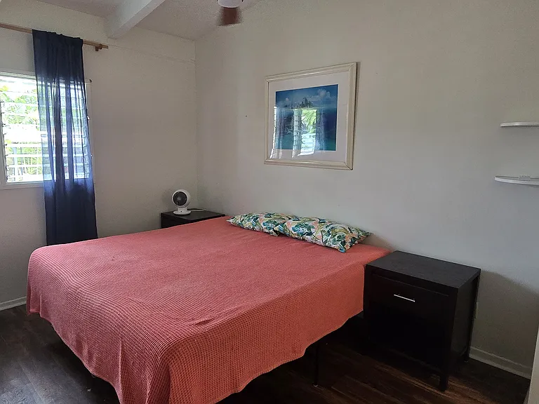 19 Ilikupono St — Photo 10