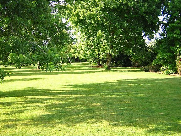 Back of Property