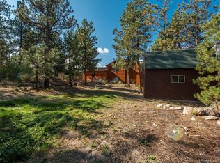 231 Blueberry Trl, Bailey, CO 80421