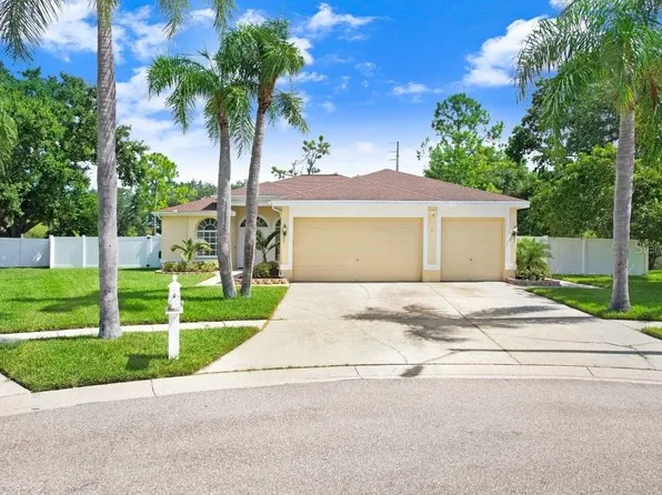 8708 Eagle Cove Ct, Tampa, FL 33635